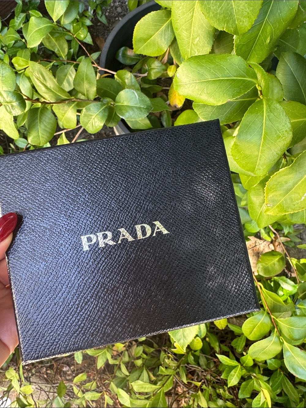 Prada Black Saffiano Box with silver Logo Accents